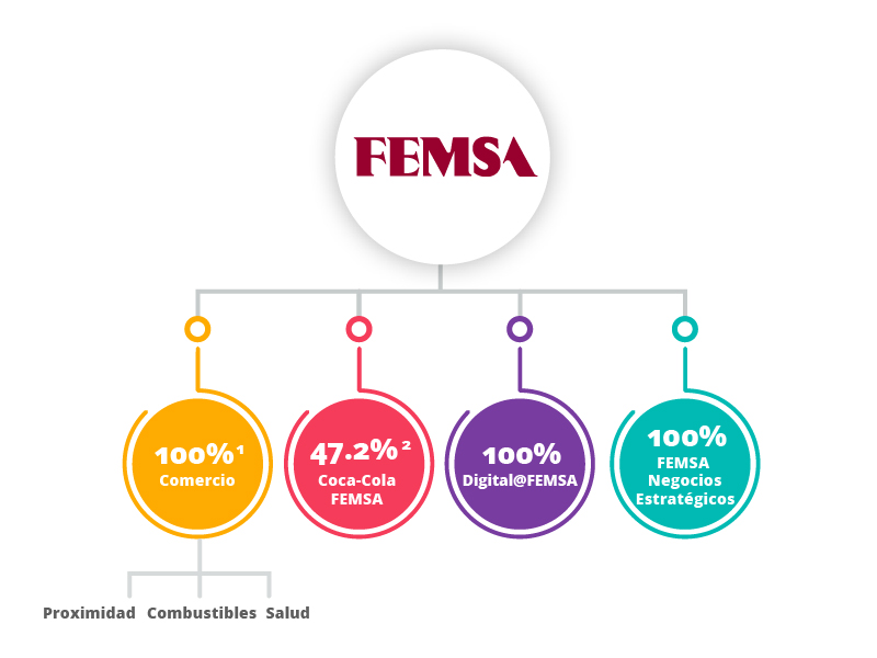 Qui Nes Somos Femsa